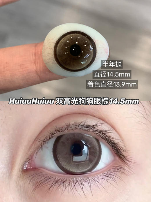 【本店实拍】SKEYE-大眼芭比灰/棕-双高光狗狗眼灰/棕-14.5mm【大直径半年抛 0-800度 无525/575】 商品图11