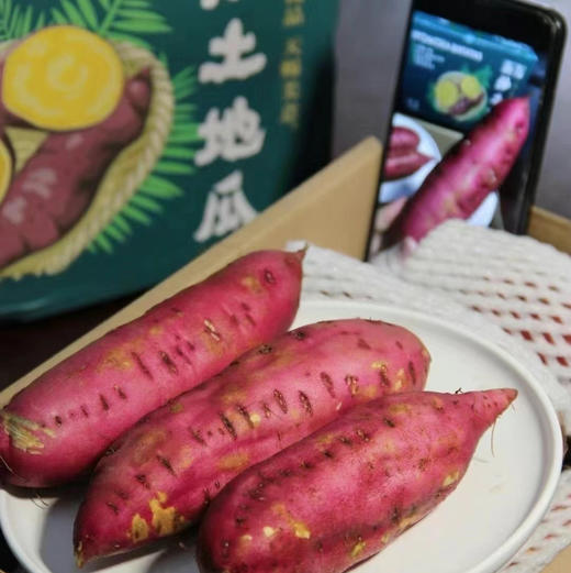 海南桥头—爱马仕板栗高糖地瓜 商品图3
