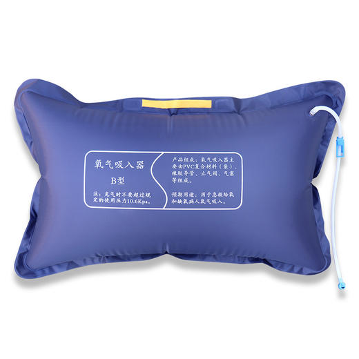 医用氧气袋家用吸氧急救便携式孕妇用老人42升大容量旅游高原缺氧 商品图4