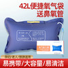 医用氧气袋家用吸氧急救便携式孕妇用老人42升大容量旅游高原缺氧 商品缩略图0