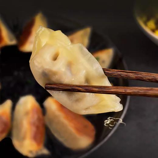 海德福 日式脆皮煎饺(猪肉白菜)290g 商品图2