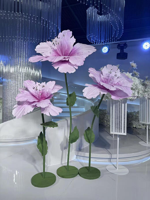 樱花（运费自理） 商品图1