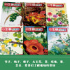 小牛顿科学馆 "奇妙的植物"专辑 全新升级版(全6册) 商品缩略图4