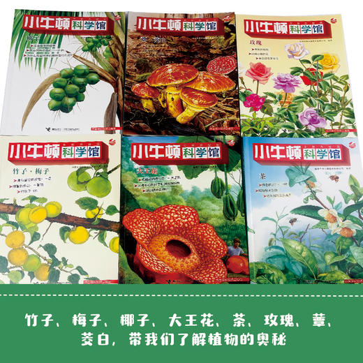 小牛顿科学馆 "奇妙的植物"专辑 全新升级版(全6册) 商品图4