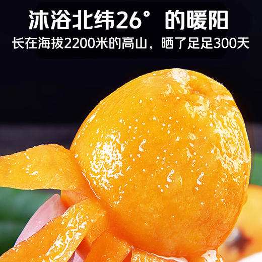 水果组合礼盒1（1盒装）【GKTX3.0】 商品图4