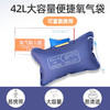 医用氧气袋家用吸氧急救便携式孕妇用老人42升大容量旅游高原缺氧 商品缩略图1