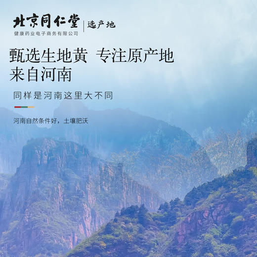 【正宗同仁堂品牌】北京同仁堂 青源堂生地黄250克精选  色泽自然 纹理清晰 剔除杂片  质感肉厚SY 商品图1