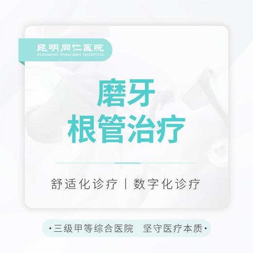 【根管治疗】磨牙 含充填 牙痛修复|精密根管 商品图0