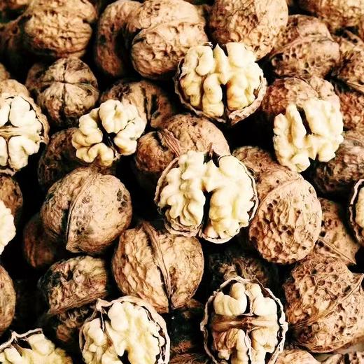 神农架山核桃500克 商品图3