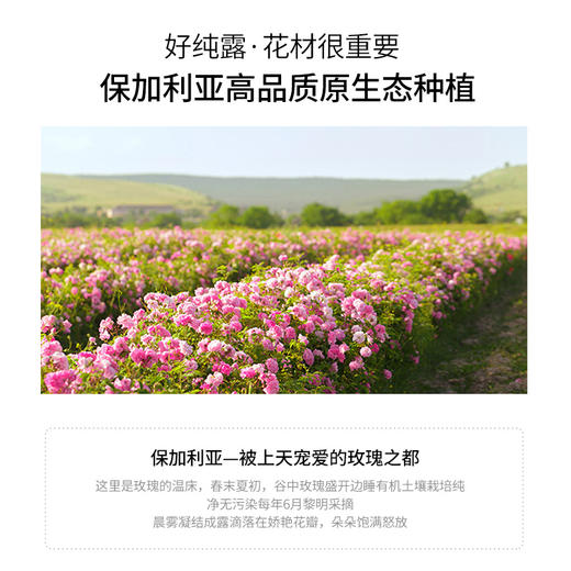 roseface保加利亚玫瑰面膜3片+玫瑰纯露喷雾100ml/瓶 【品牌直发】A-2058 商品图3