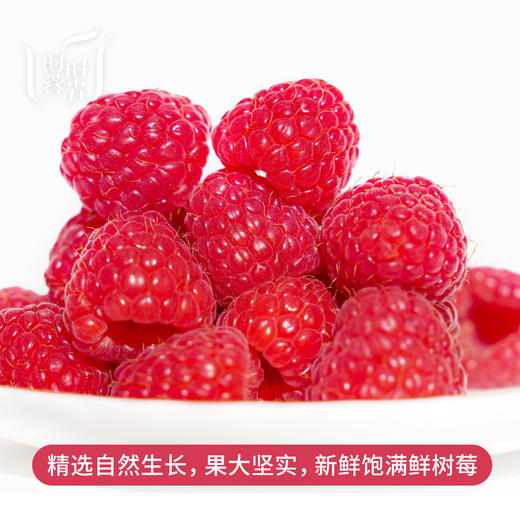 【红树莓原浆礼盒】（含4盒）0加糖·0兑水·0添加·100%纯鲜红树莓原浆 商品图13