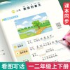 书行一二年级上下册看图写话练字帖训练册小学生语文每日范文专项训练描红本 商品缩略图0