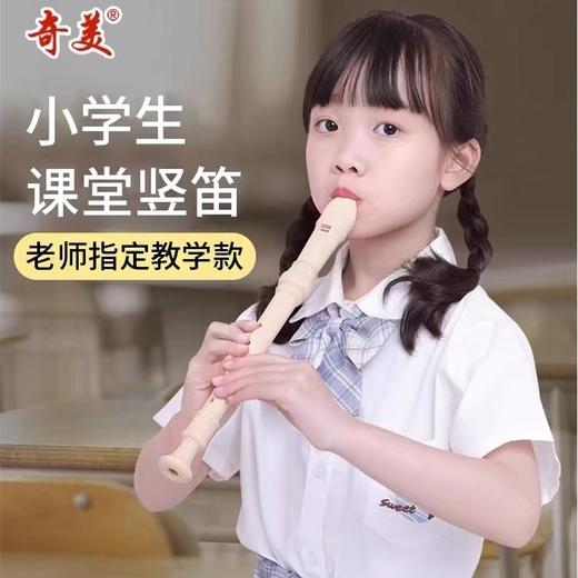 奇美竖笛德式高音6孔8孔 1支 初学者用小学生儿童入门乐器六孔八孔笛子 商品图0