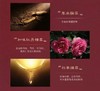 WHOO 后津率享红花凝香套盒+手提袋 商品缩略图2