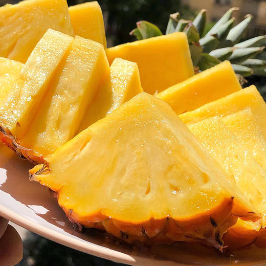 特惠活动『海南树上熟金钻凤梨』脆嫩鲜爽，肉厚甜蜜，口感细腻 商品图1