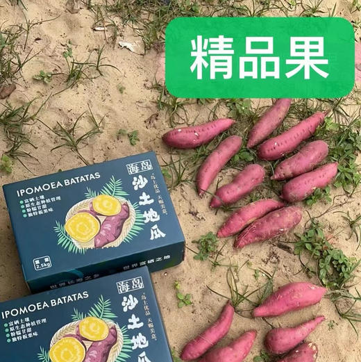 海南桥头—爱马仕板栗高糖地瓜 商品图8