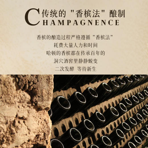 【3获国际90+分】哈顿珍藏系列香槟 法定AOC香槟产区 12.5%vol 商品图8