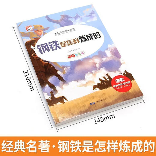 新太阳鸟课外大阅读系列 注音彩绘版 钢铁是怎样炼成的 商品图1
