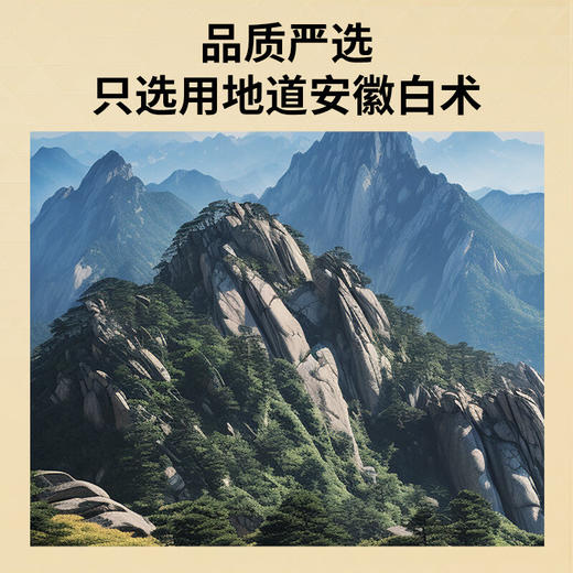 【正宗同仁堂品牌】北京同仁堂 青源堂白术片200g 选自安徽 新鲜采挖 片大完整  拒绝熏硫SY 商品图1