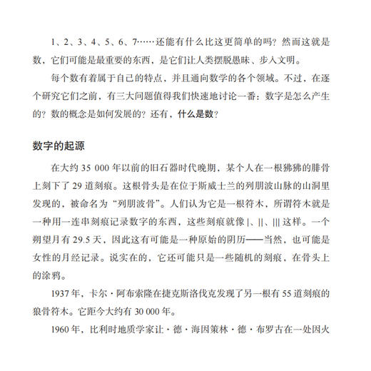 《不可思议的数》 商品图6