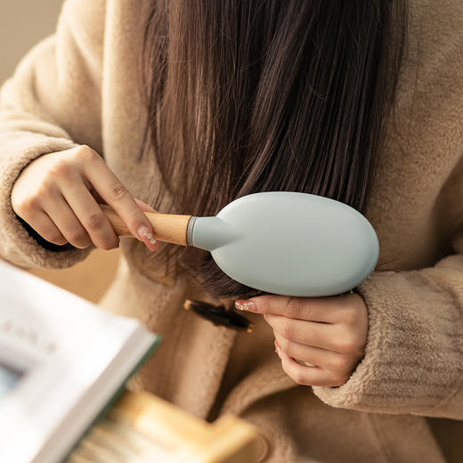 【2.28积分当钱花】资生堂气垫梳气囊梳家用直发卷发 商品图3