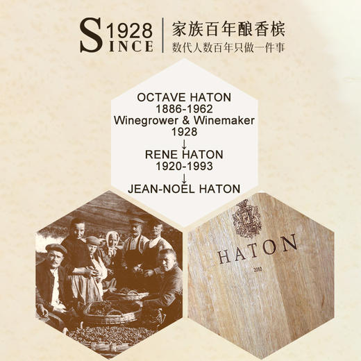 【7获国际90+分】 哈顿特级园级干香槟 哈顿特级园AOC香槟 12.5%vol 商品图10
