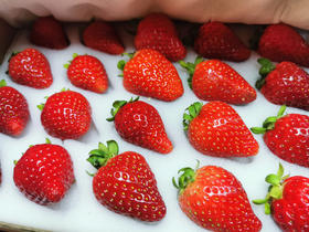 野菜夫人农场有机草莓/孕妇婴幼儿可放心吃/自然成熟/575项农残未检出/顺丰空运