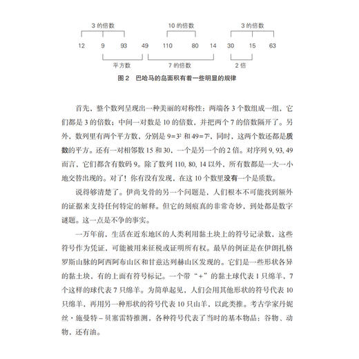 《不可思议的数》 商品图9