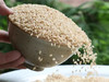 谦益农场自留种糙米（带胚芽） 商品缩略图0