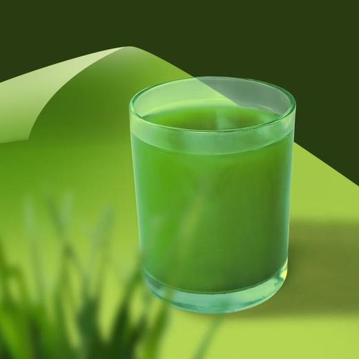 想真有机大麦苗青汁(原味型)90g 商品图4