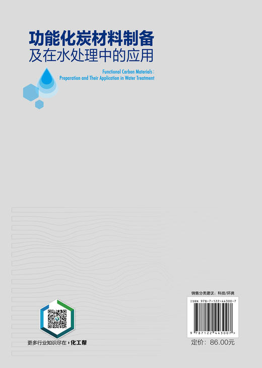 功能化炭材料制备及在水处理中的应用 商品图7