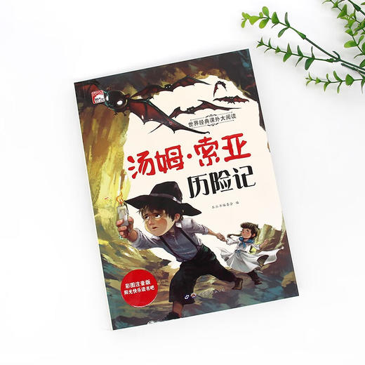 世界经典课外大阅读系列 彩图注音版 汤姆·索亚历险记 商品图1