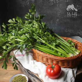 生态鲍芹 | 绿家自产*Eco-celery | Self-production