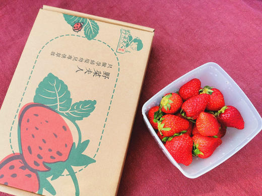 野菜夫人农场有机草莓/孕妇婴幼儿可放心吃/自然成熟/575项农残未检出/顺丰空运 商品图1