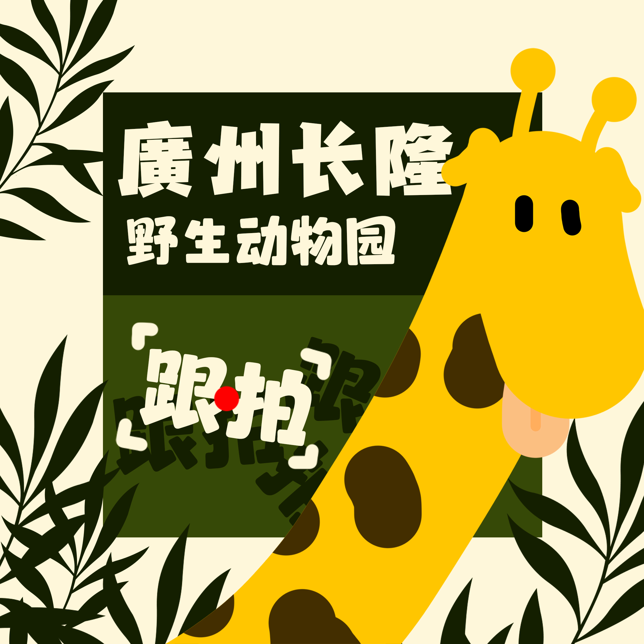 【亲子跟拍套餐】广州长隆野生动物园|带着爱与陪伴前行~