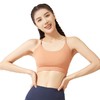 聚衣堂2024新款固定一体式挂脖运动健身瑜伽美背运动内衣 商品缩略图4