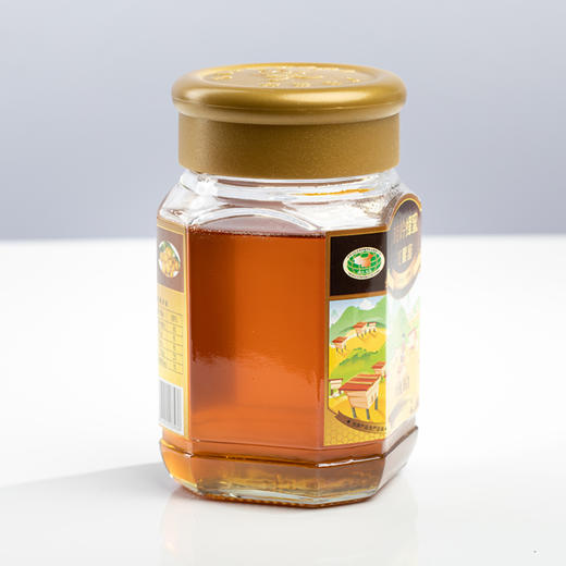 桂岭牌龙眼蜜450g 商品图2