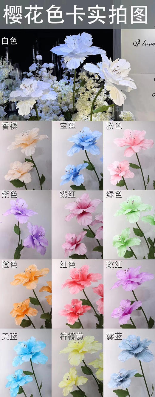 樱花（运费自理） 商品图0