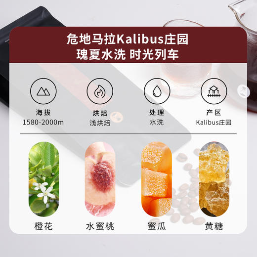 【甄选白金】泰摩咖啡危地马拉Kalibus庄园水洗瑰夏 浅烘焙咖啡豆 商品图1