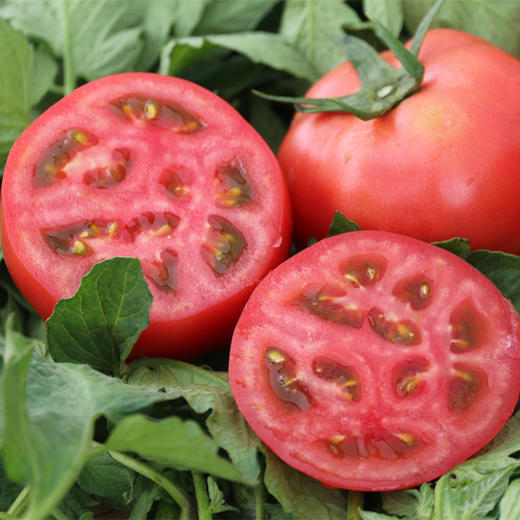 梓盟有机孩馋胡萝卜、梓盟有机甜菜根、有机瑞粉番茄 商品图8