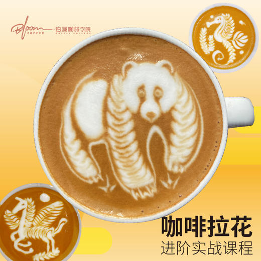 武汉-咖啡拉花进阶实战课程 商品图0