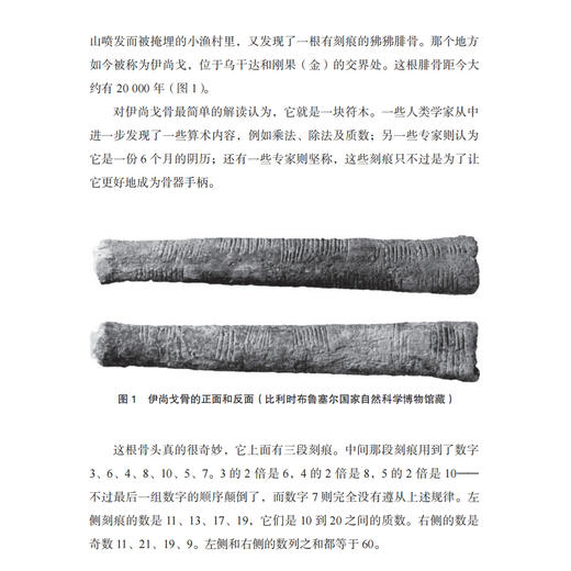 《不可思议的数》 商品图7