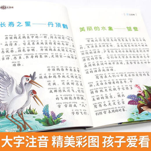新太阳鸟课外大阅读系列 注音彩绘版 少儿百科 商品图1