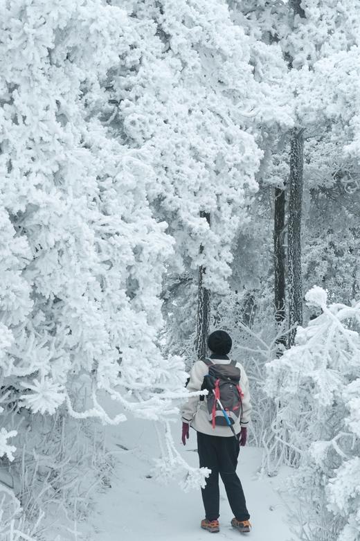 【百丈岭】徒步两昌古道，邂逅浙西云顶冰湖雾凇雪景！ 商品图5