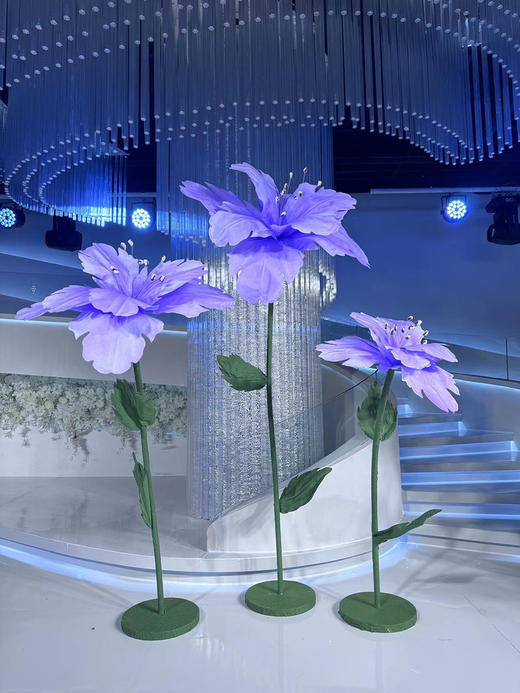 樱花（运费自理） 商品图4