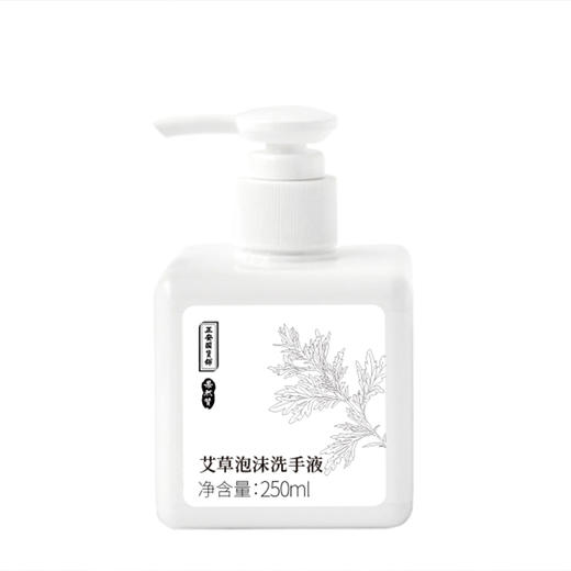 正安国货·艾草泡沫洗手液   温和滋养亲肤艾草植萃精华 250ml 商品图4