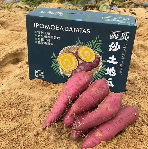 海南桥头—爱马仕板栗高糖地瓜 商品图1