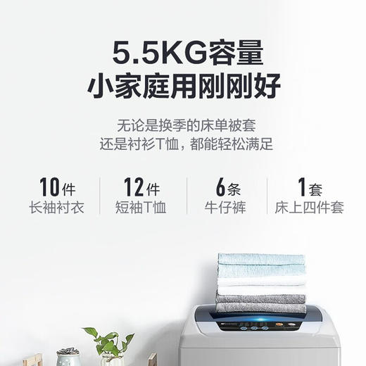 小天鹅（LittleSwan）5.5公斤小型洗衣机全自动波轮家用租房迷你一键脱水甩干快洗桶自洁童锁 商品图1