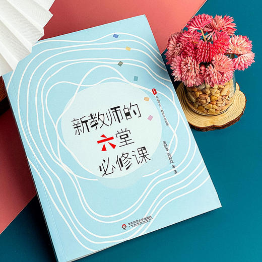 新教师的六堂必修课 大夏书系 教师专业发展 集“名优特”工作经验之大成 商品图6