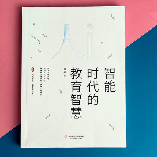 智能时代的教育智慧 魏忠 大夏书系 教育新思考 教育技术变革 商品图1